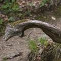 Holzdrache