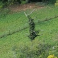 Spriggan