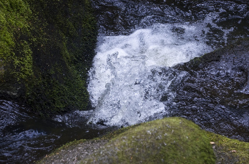Wasserpferd.jpg