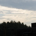 Wolkendrache