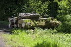 Gefallener Waldgott 01