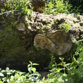 Gefallener Waldgott 02